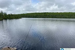 119 Little Mud Pond Rd, Porter Twp, PA 18328 - Photo 23