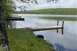 119 Little Mud Pond Rd, Porter Twp, PA 18328 - Photo 21