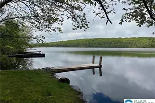 119 Little Mud Pond Rd, Porter Twp, PA 18328 - Photo 19