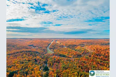 182 Upper Village Way, Jackson Twp, PA 18372 - Photo 59