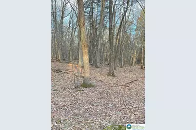 80 Spokane Road, Penn Forrest, PA 18210 - Photo 1