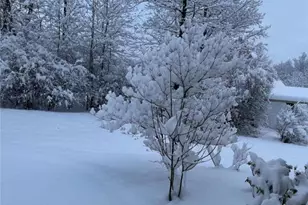 3505 Woodbyne Rd, Springfield Twp, PA 18055 - Photo 65