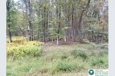 Willow Drive, Penn Forrest, PA 18229 - Photo 1