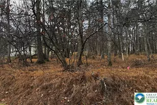 1922 Old Stage Rd, Penn Forrest, PA 18210 - Photo 11