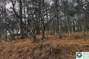 1922 Old Stage Rd, Penn Forrest, PA 18210 - Photo 13