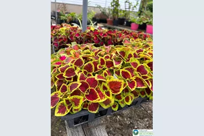 522 5th Street, Whitehall, PA 18052 - Photo 11