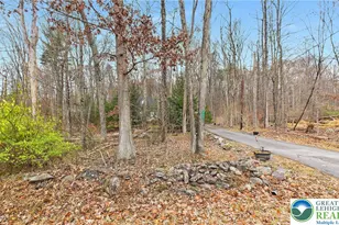 1208 Mattioli Rd, Pocono Twp, PA 18321 - Photo 23