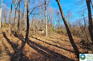 4057 Sherry Hill Rd, Lower Saucon Township, PA 18055 - Photo 13