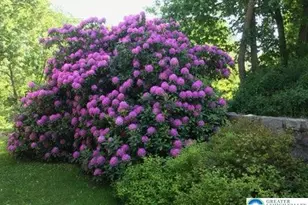 297 Forgedale Rd, District Twp, PA 19504 - Photo 67