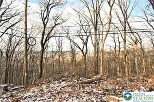 501 Skyline Dr, Allentown City, PA 18103 - Photo 63