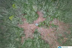 2205 Long Run Rd, Franklin Twp, PA 18235 - Photo 3