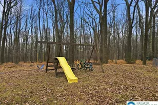 3217 Hamlet Dr, Tobyhanna, PA 18466 - Photo 75