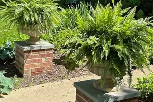 1808 Sycamore St, Bethlehem City, PA 18017 - Photo 49