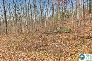 221 Brookdale Dr, Pocono Twp, PA 18321 - Photo 3