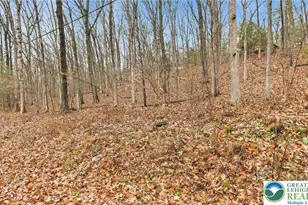 221 Brookdale Dr, Pocono Twp, PA 18321 - Photo 7