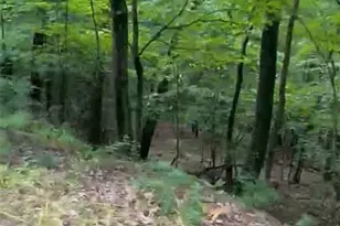 3018 Hickory Ln, Luzerne, PA 18655 - Photo 3