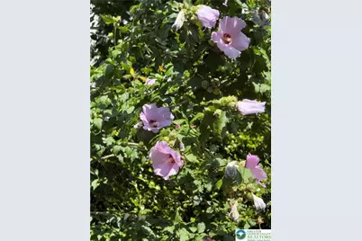 608 McKinley, Hazle Township, PA 18201 - Photo 57