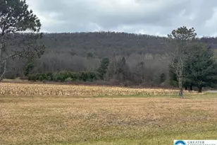 419 E White Bear Dr, Summit Hill Boro, PA 18250 - Photo 3