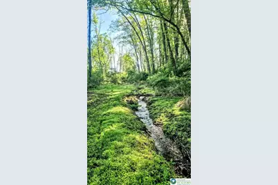 155 W Adamsdale Road, North Manheim Twp, PA 17972 - Photo 87