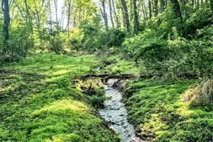 155 W Adamsdale Rd, North Manheim Twp, PA 17972 - Photo 87