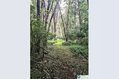 155 W Adamsdale Road, North Manheim Twp, PA 17972 - Photo 89