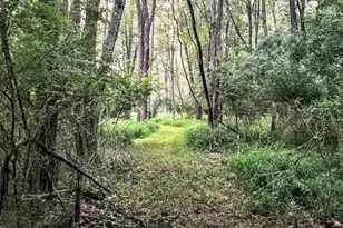 155 W Adamsdale Rd, North Manheim Twp, PA 17972 - Photo 89