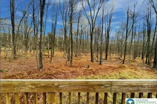 19 Livingston Ln, Clifton Twp, PA 18424 - Photo 21