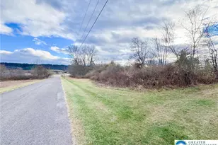 Airport Rd, Mahoning Twp, PA 18235 - Photo 5