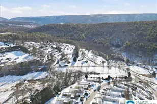 286 Lower Nis Hollow Dr, Mahoning Twp, PA 18235 - Photo 57