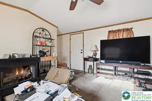 286 Lower Nis Hollow Dr, Mahoning Twp, PA 18235 - Photo 9