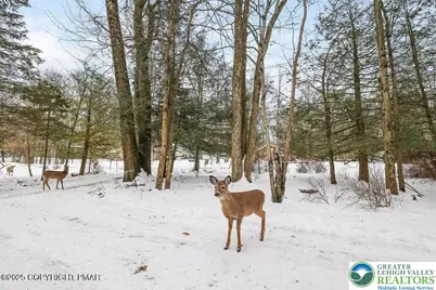 3280 Red Run Road, Coolbaugh Twp, PA 18346 - Photo 31