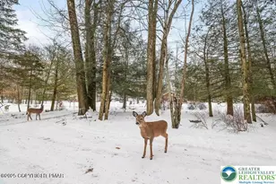 3280 Red Run Rd, Coolbaugh Twp, PA 18346 - Photo 31