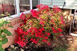 1925 Troxell St, Hanover Twp, PA 18109 - Photo 9