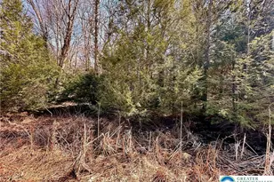 Wild Creek Dr, Penn Forrest, PA 18229 - Photo 3