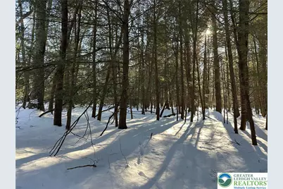 Wild Creek Drive #Lot 672, Penn Forrest, PA 18229 - Photo 1