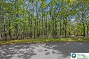 0 Stone Ridge Rd, Penn Forrest, PA 18210 - Photo 1
