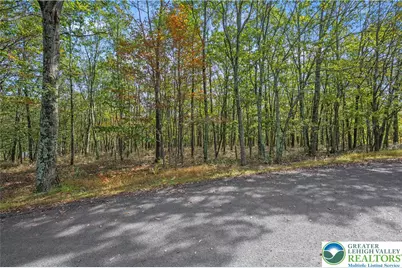 0 Stone Ridge Road, Penn Forrest, PA 18210 - Photo 3