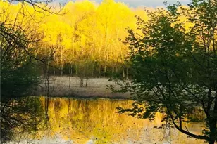 33 Ward Rd, Hardwick Township, NJ 07825 - Photo 67