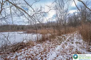 33 Ward Rd, Hardwick Township, NJ 07825 - Photo 63