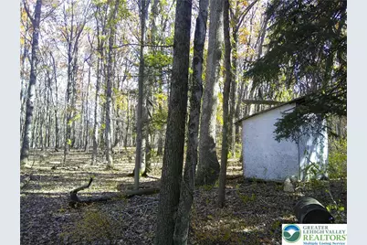 414 Turkey Ridge Road, Upper Mt Bethel Twp, PA 18343 - Photo 3