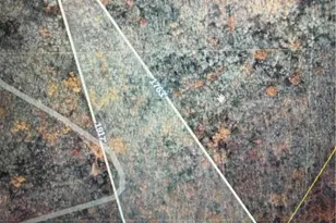 0 Main St, Washington Twp, PA 18080 - Photo 3