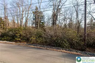 Delware Dr, Penn Forrest, PA 18229 - Photo 3