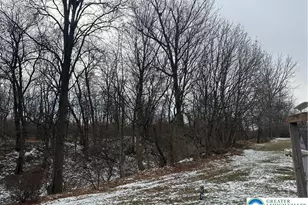 1157 Blue Barn Rd, Upper Macungie Township, PA 18104 - Photo 21