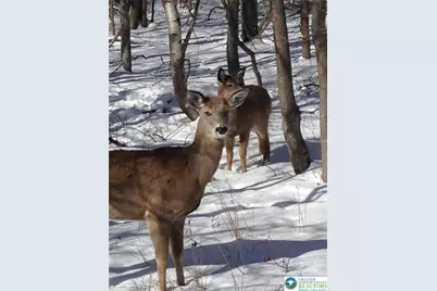 6003 Scenic Drive, Chestnuthill Twp, PA 18210 - Photo 1