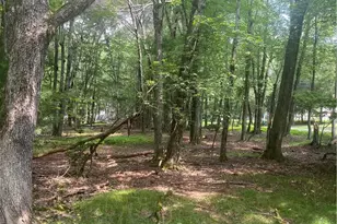 6003 Scenic Dr, Chestnuthill Twp, PA 18210 - Photo 3