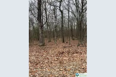 129 Fall Court #58, Dingmans Ferry, PA 18328 - Photo 3