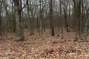 129 Fall Ct, Dingmans Ferry, PA 18328 - Photo 3