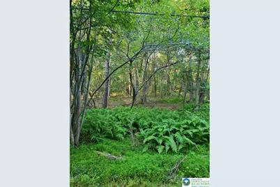 168 Cross Street #3, Pocono Lake, PA 18347 - Photo 1