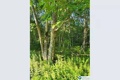 168 Cross Street #3, Pocono Lake, PA 18347 - Photo 7