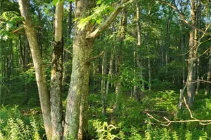 168 Cross St, Pocono Lake, PA 18347 - Photo 7